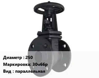 Задвижка чугунная канализационная 250 30ч66р параллельная